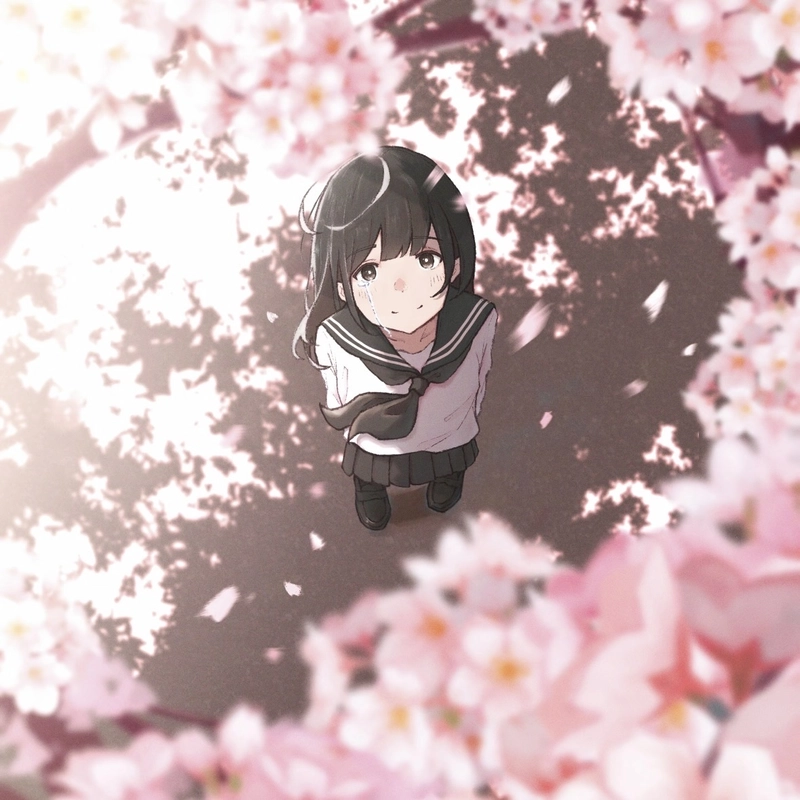Aesthetic anime DP featuring a gentle emotional mood