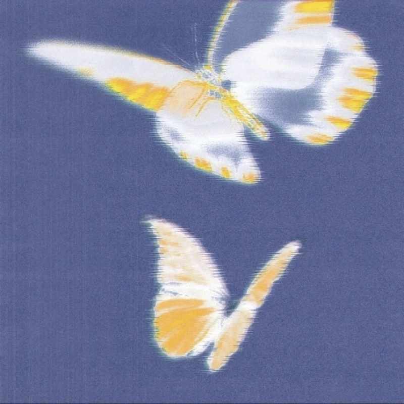 Aesthetic butterfly dp with dreamy sky background gentle tones