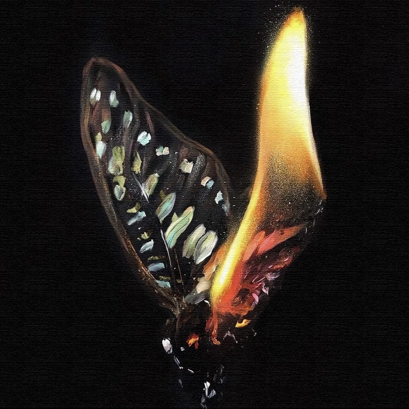 Artistic butterfly dp featuring vibrant wings aesthetic background scene