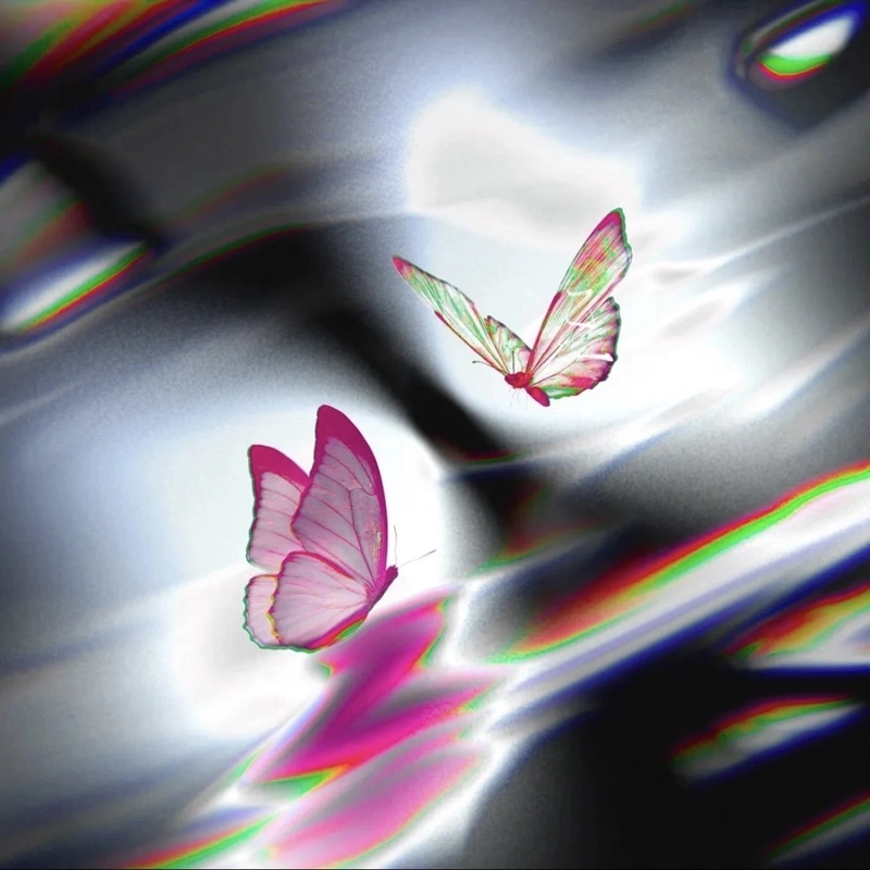 Butterfly profile picture with soft blur dreamy visual effect