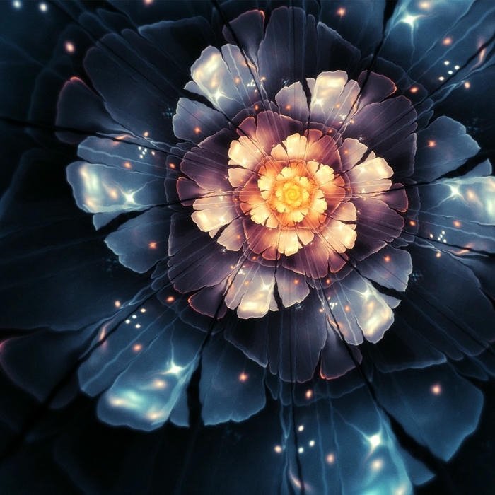 Cute Flowers DP aesthetic profile