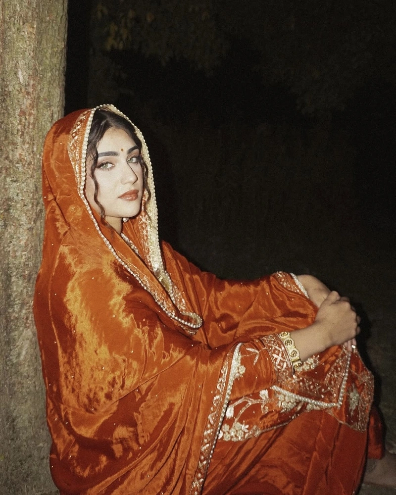 Elegant cultural fashion in Punjabi girls dp profile picture
