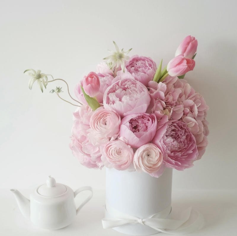 Lavender bloom calming soft aesthetic DP