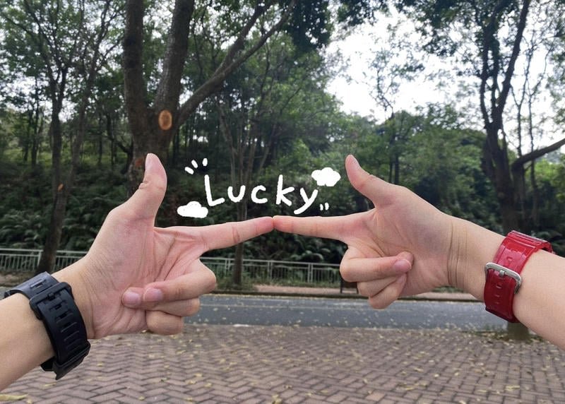 Soft pastel hand photo display DP