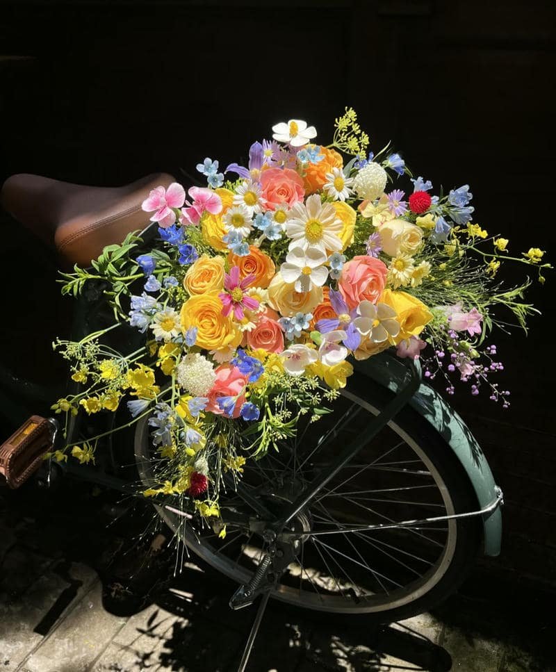 Vintage floral theme soft mood DP