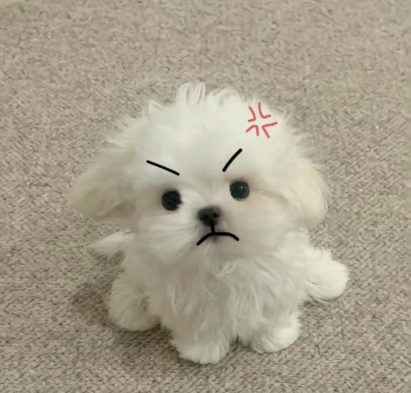 Viral cool angry DP for WhatsApp boys look