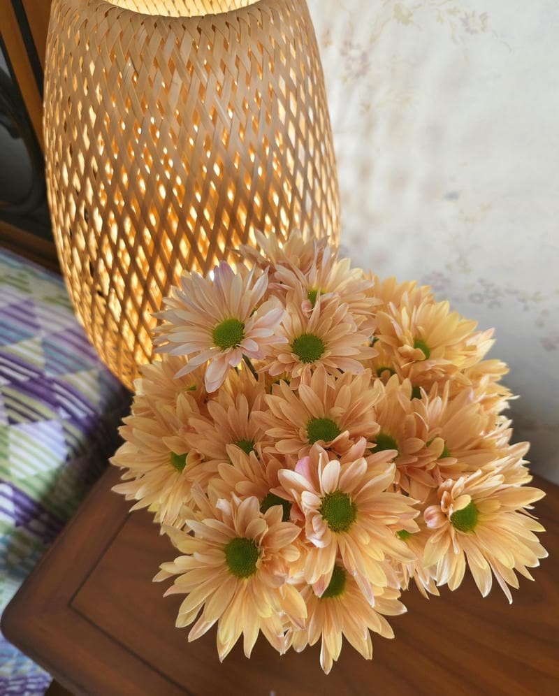 White lily elegance aesthetic display picture