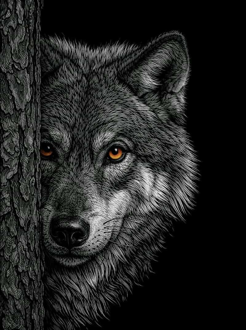Wild Spirit Wolf Profile Pictures for Bold Personalities