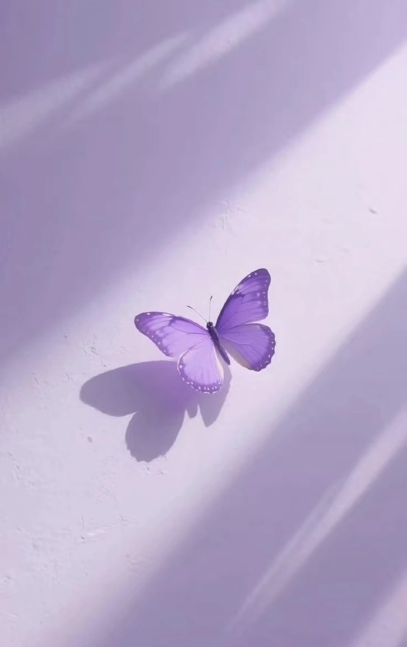 aesthetic cute purple dp for whatsapp