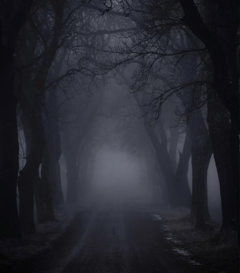 aesthetic dp for whatsapp black
