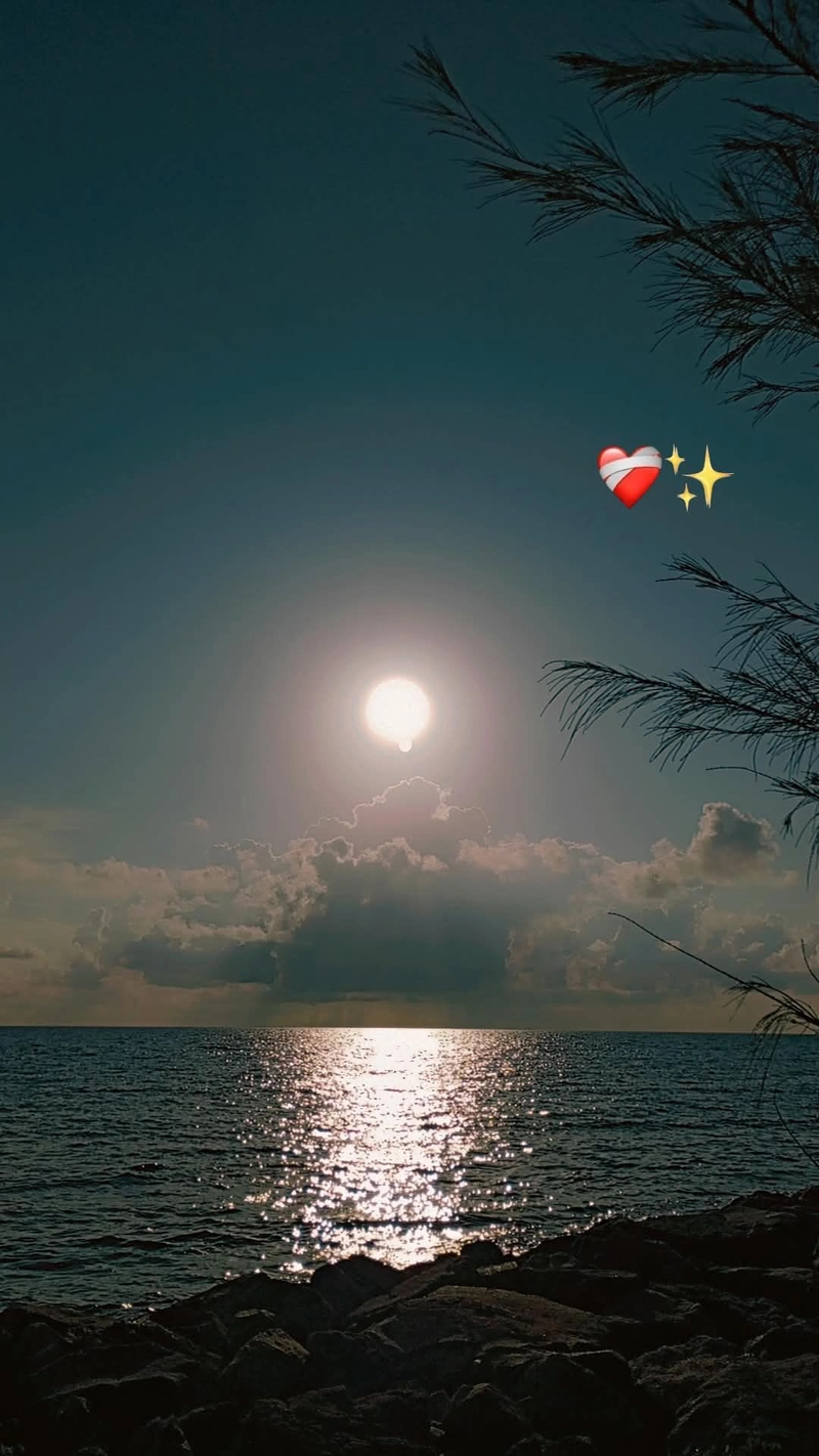 aesthetic dp for whatsapp hd