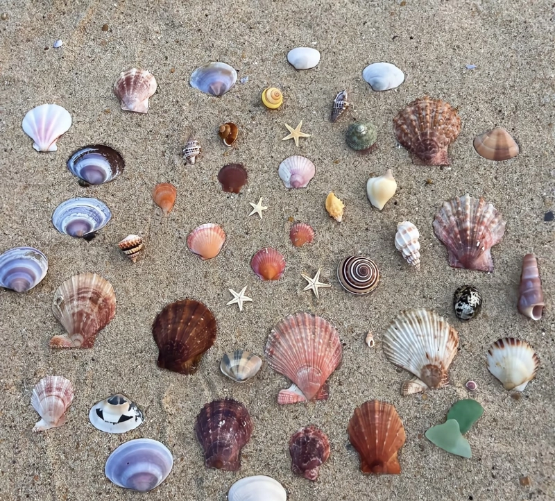 aesthetic dp on instagram