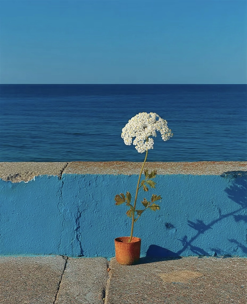 aesthetic instagram profile picture