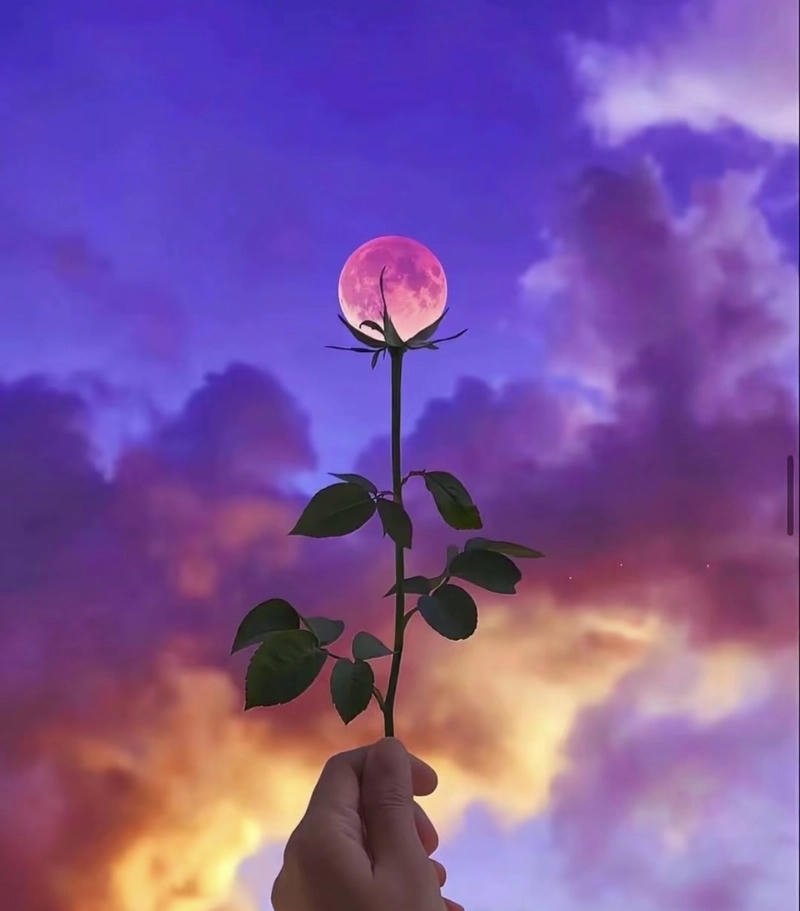 aesthetic moon dp for whatsapp