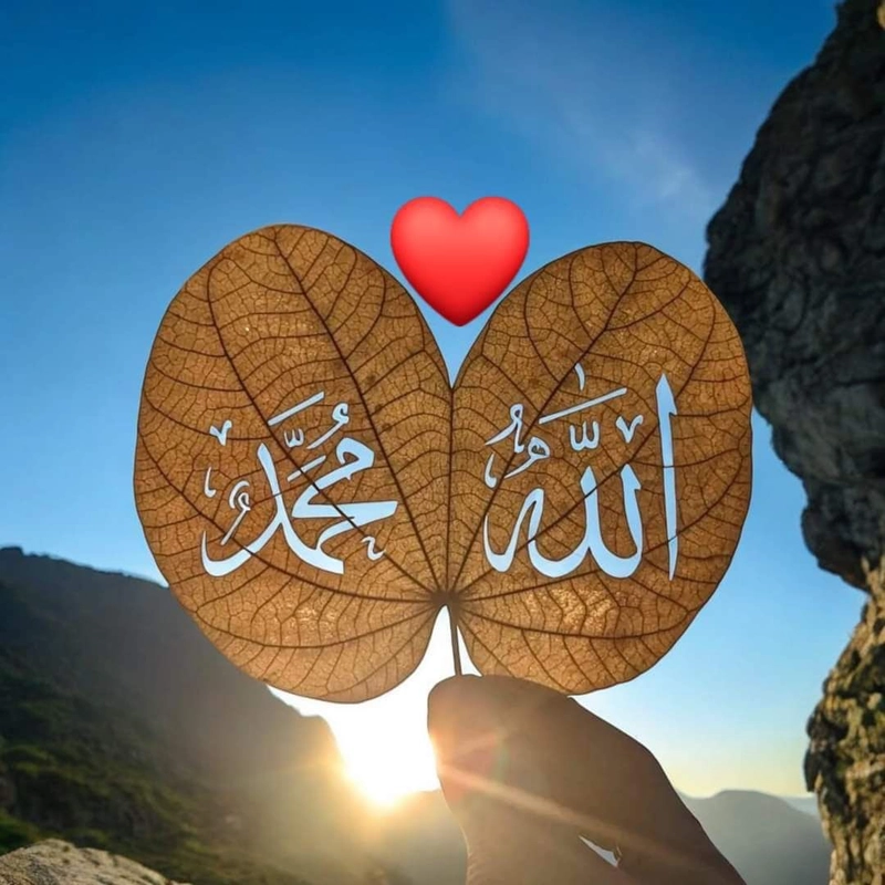 allah ka name dp