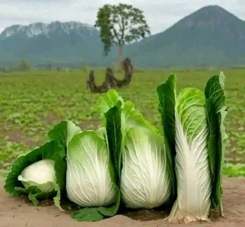 allah name dp beautiful