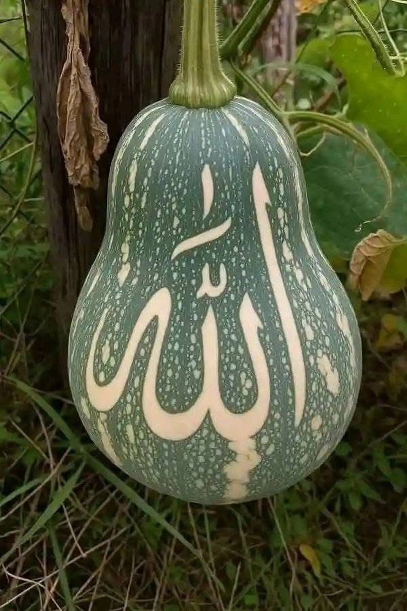 allah name dp full hd