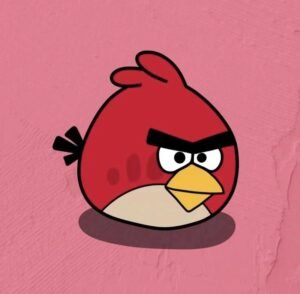 angry birds cute dp