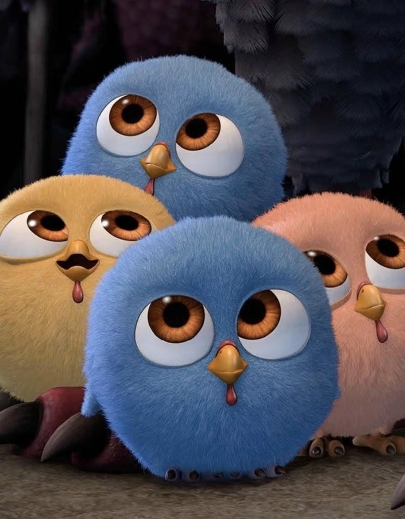 angry birds dp images