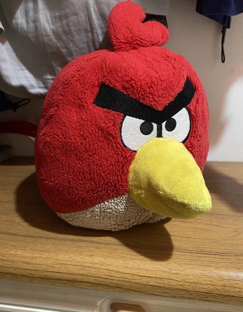 angry birds dp picture