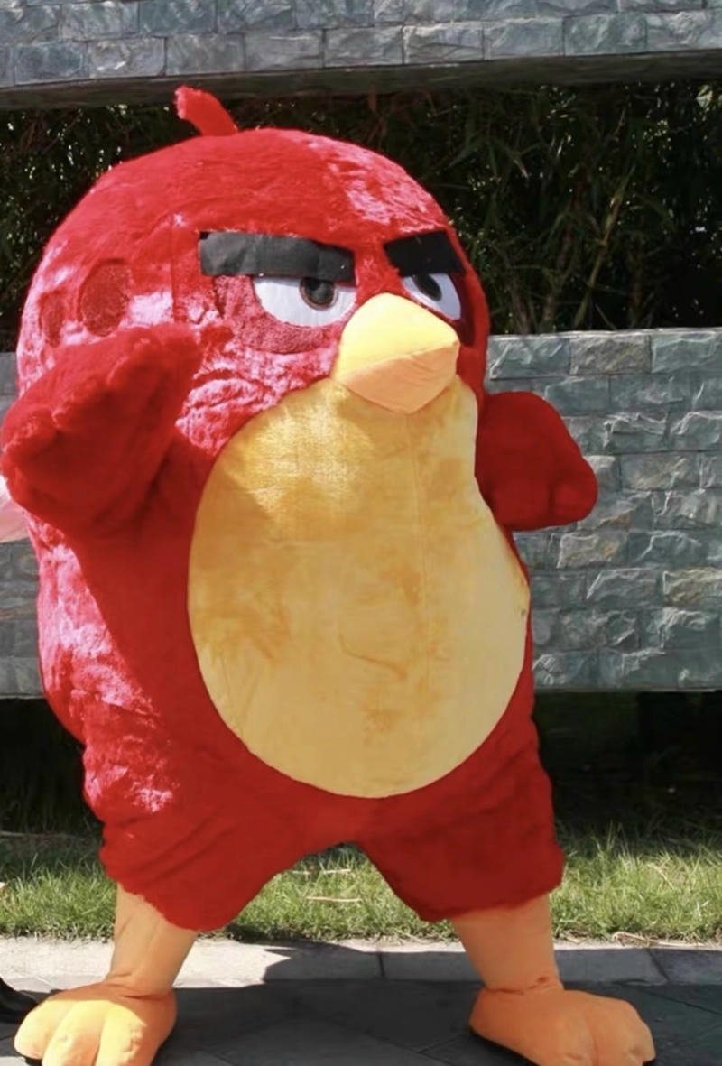 angry birds stylish pic
