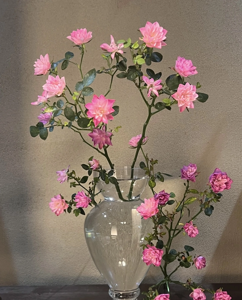 beautiful flowers for dp