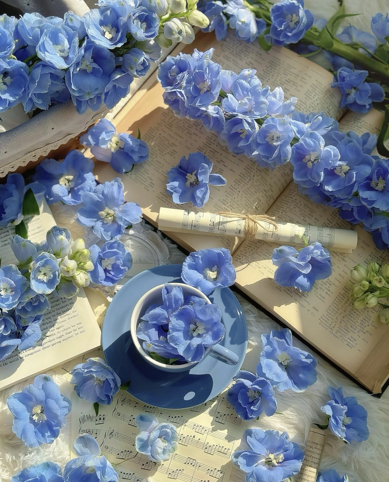 beautiful flowers for whatsapp dp