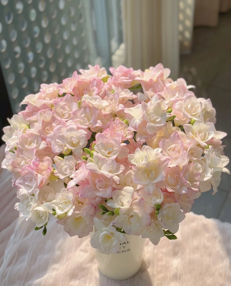beautiful flowers images for dp download