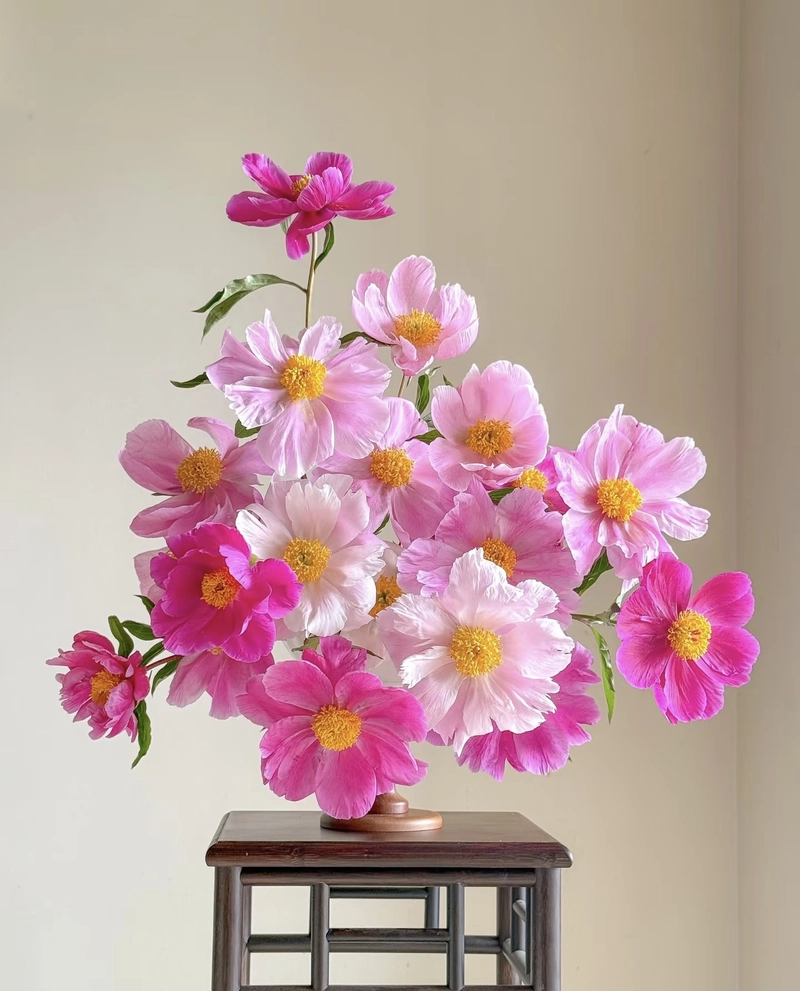 beautiful flowers images for dp hd