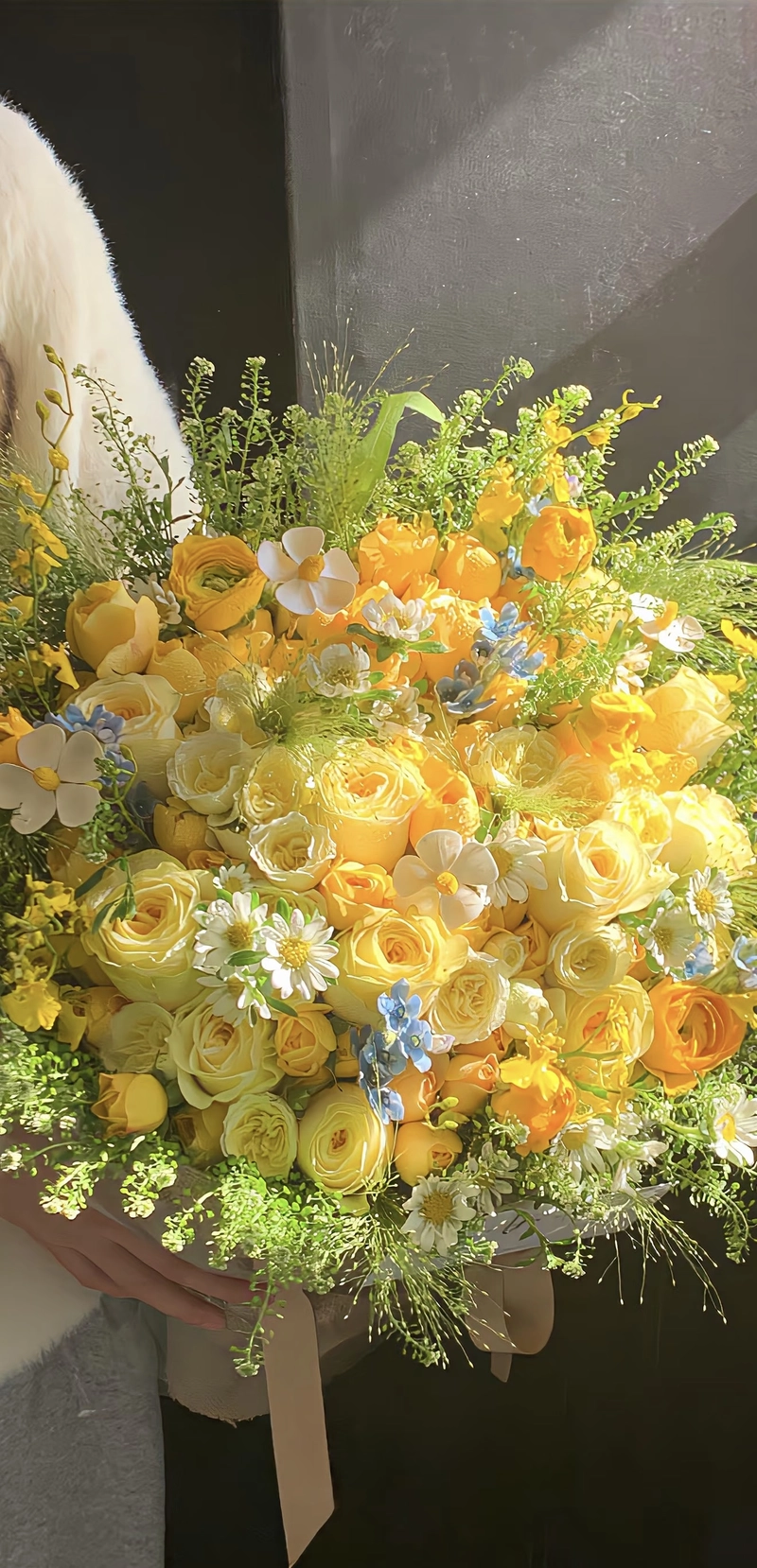 beautiful flowers images hd for dp_