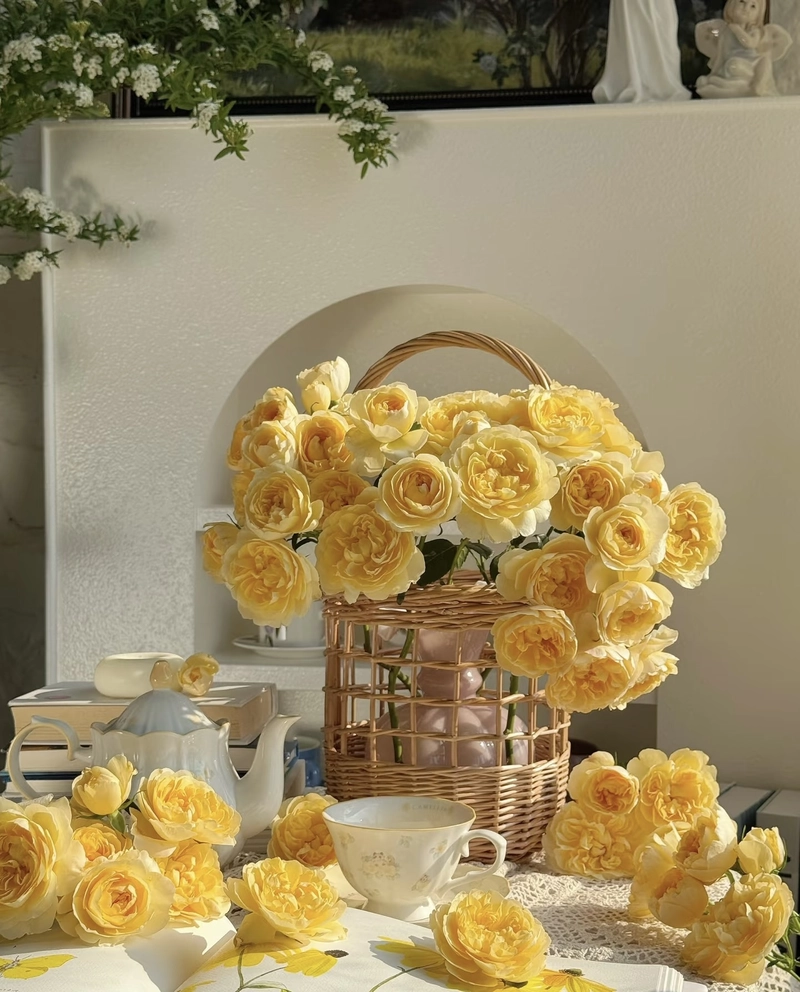 beautiful flowers photos for whatsapp dp