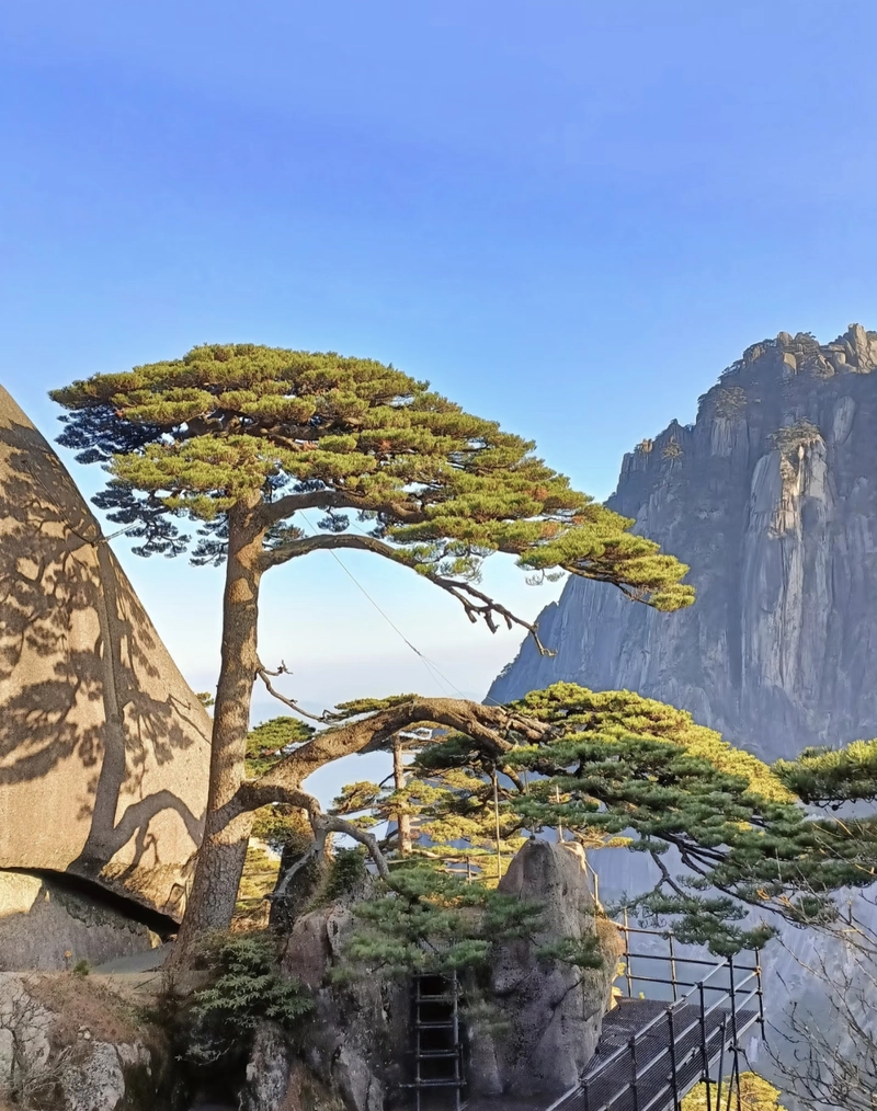 beautiful nature images for dp