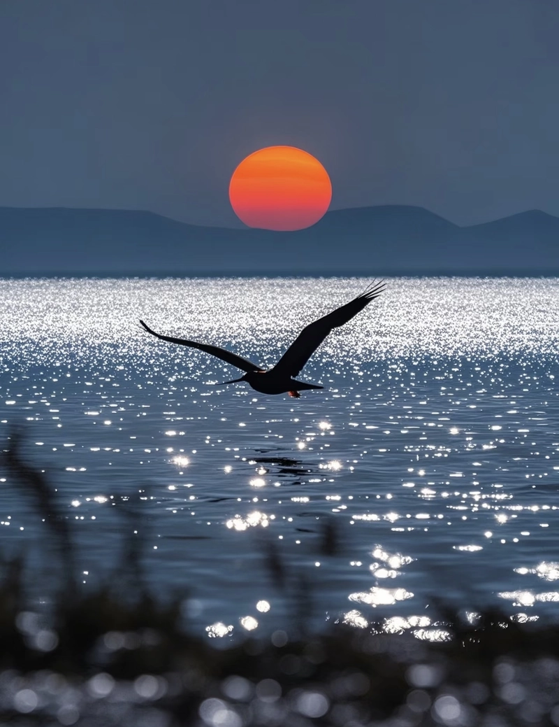 beautiful nature images for whatsapp