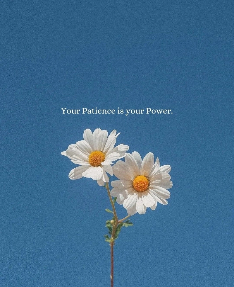 best positive quotes images