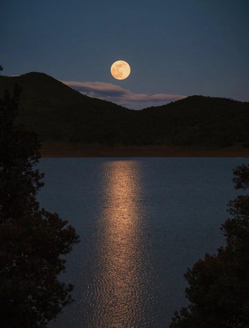 black moon dp for whatsapp