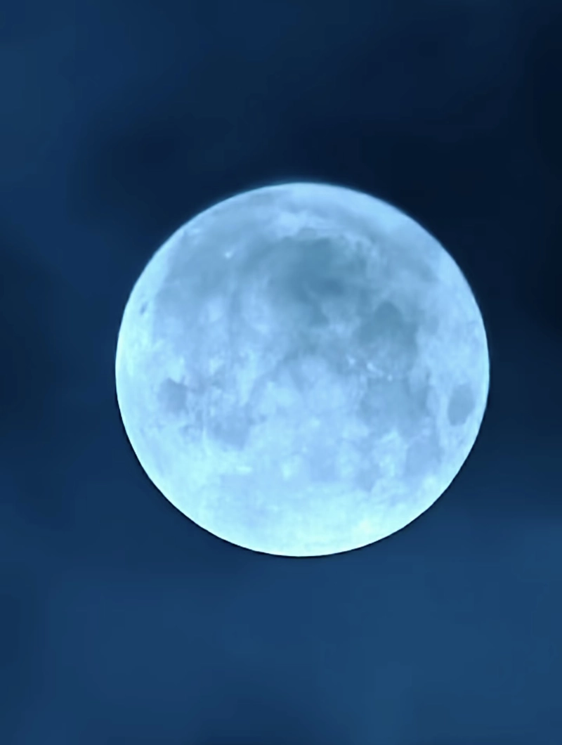 blue moon dp for whatsapp