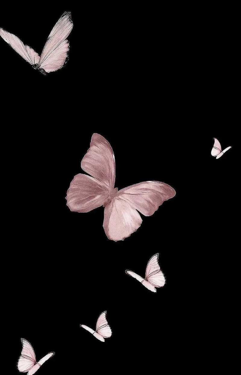 butterfly images for whatsapp dp