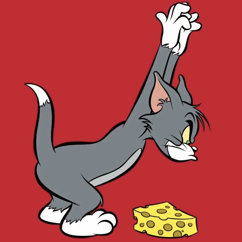 cartoon tom dp