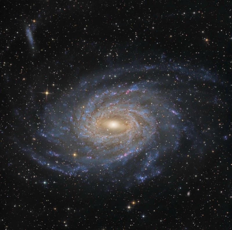 christmas star dp images