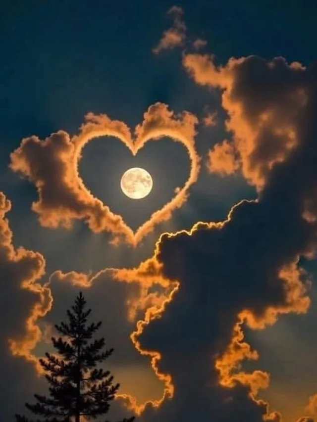 cropped-cute-aesthetic-dp-for-whatsapp-pinterest.webp