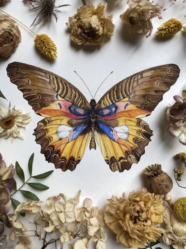 cropped-whatsapp-dp-flowers-with-butterfly.webp