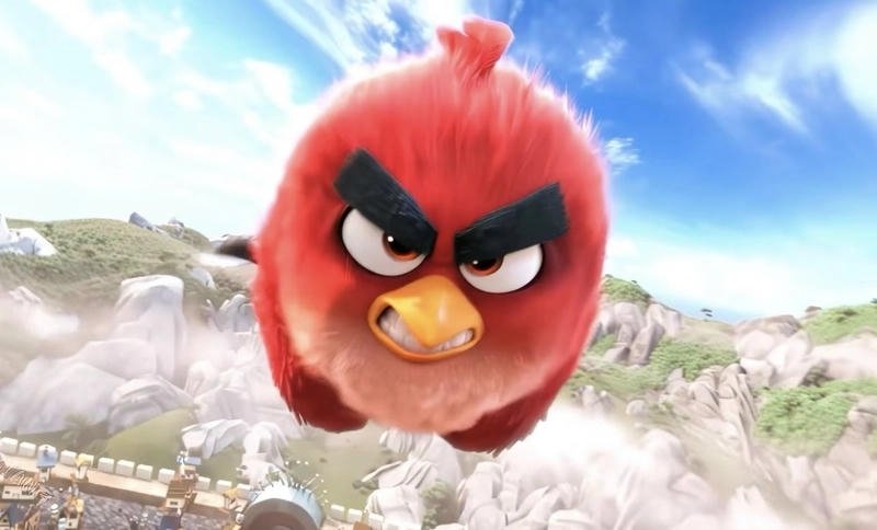 cute angry birds dp