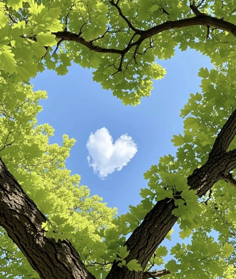 cute dp for whatsapp nature