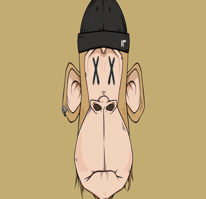 cute monkey dp