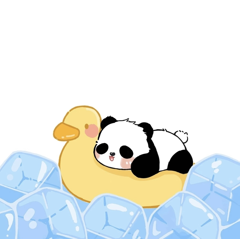 cute panda whatsapp dp