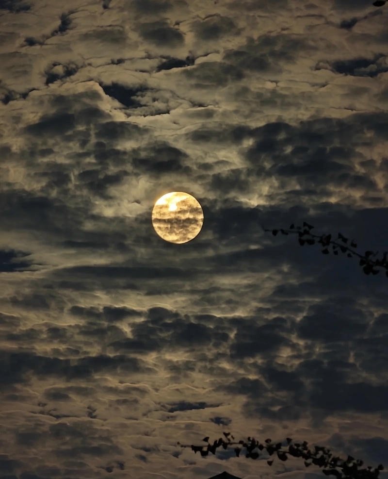 dark moon dp for whatsapp