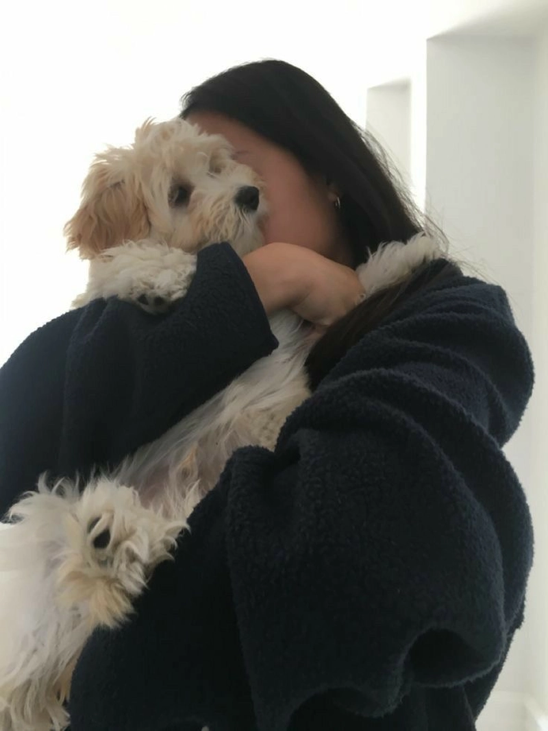 dog lifted girls dp pics cute