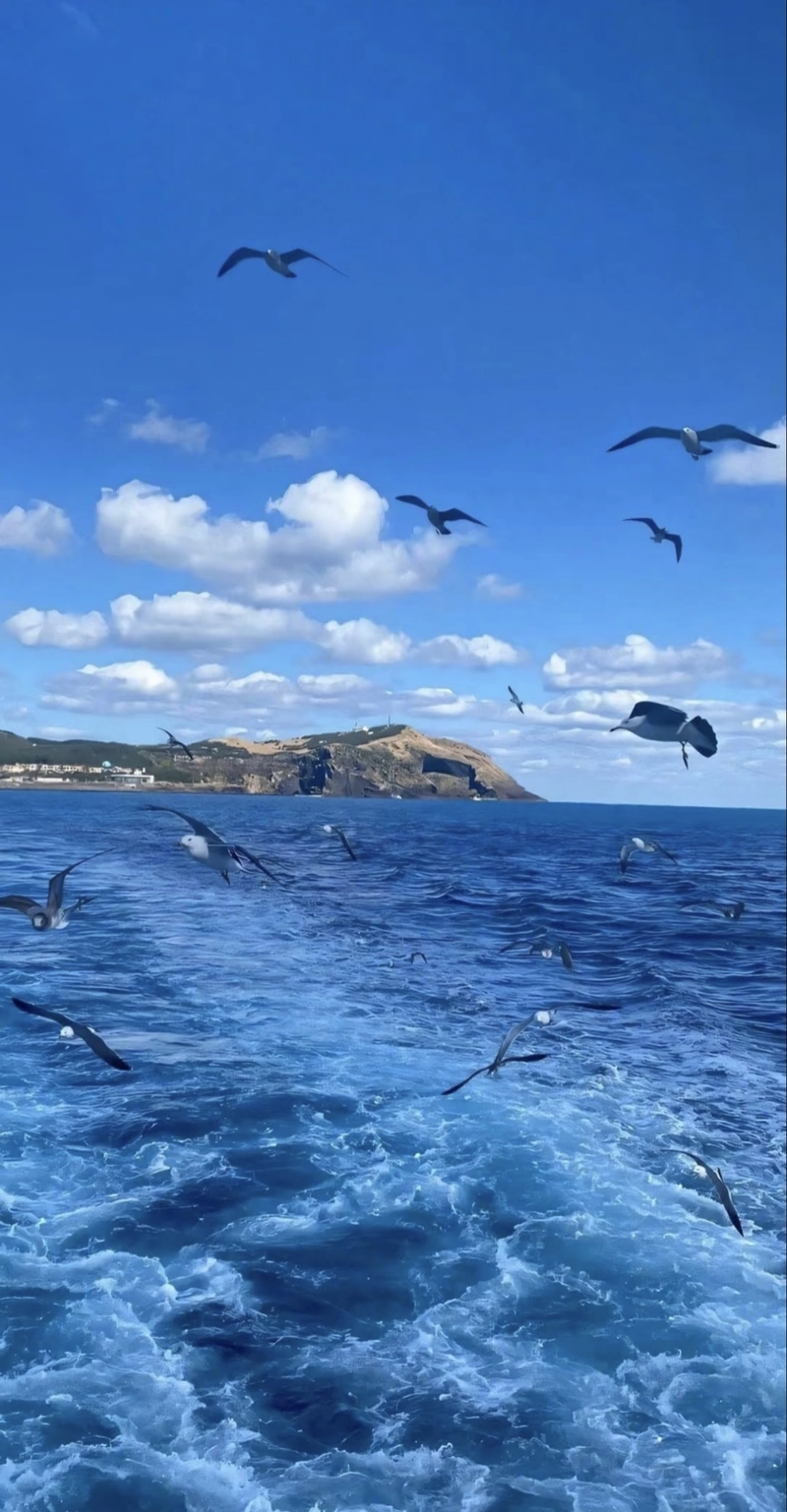 dp blue