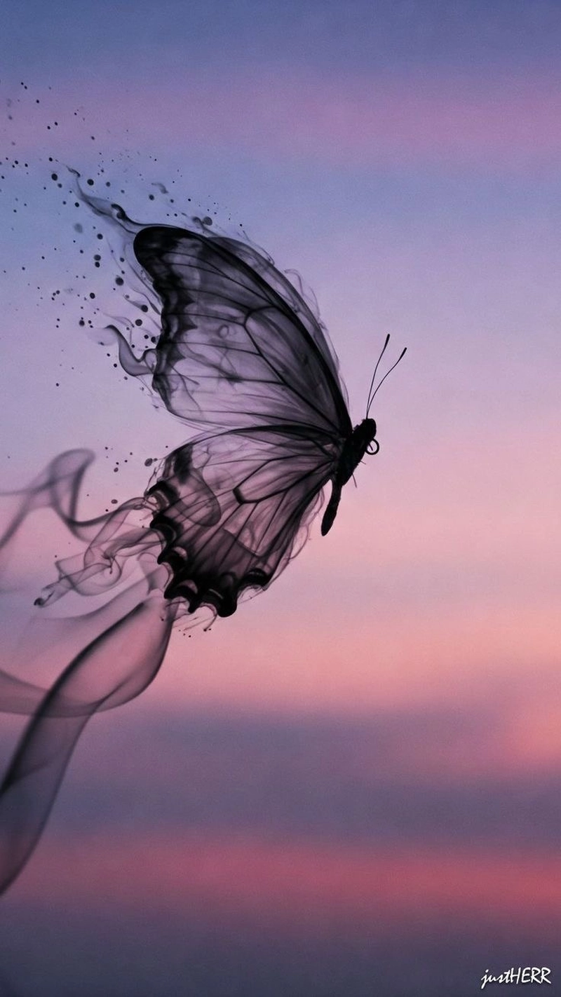dp for whatsapp butterfly