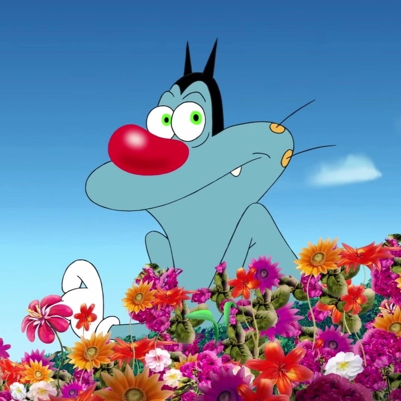 dp instagram oggy